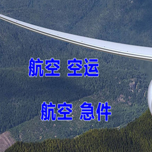 湛江吴川航空托运快递-选东方航空和上海航空